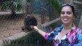 /album/excurs%c3%a3o-rio-quente-hot-park/a2012-07-08-15-22-10-890-jpg/